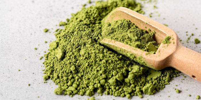 bisnis-kuliner-dari-bahan-matcha