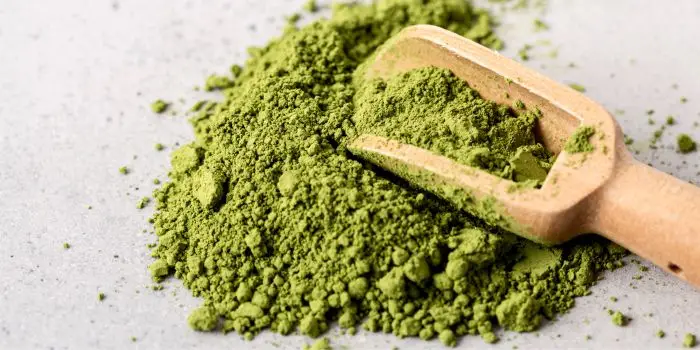 bisnis-kuliner-dari-bahan-matcha