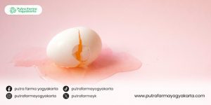 makanan-berprotein-tinggi