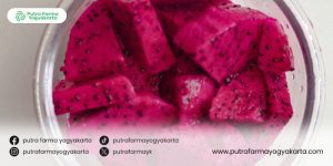 ragam-pewarna-alami-untuk-makanan