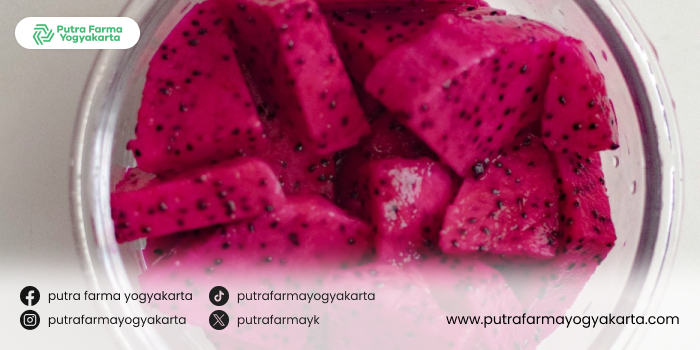 ragam-pewarna-alami-untuk-makanan