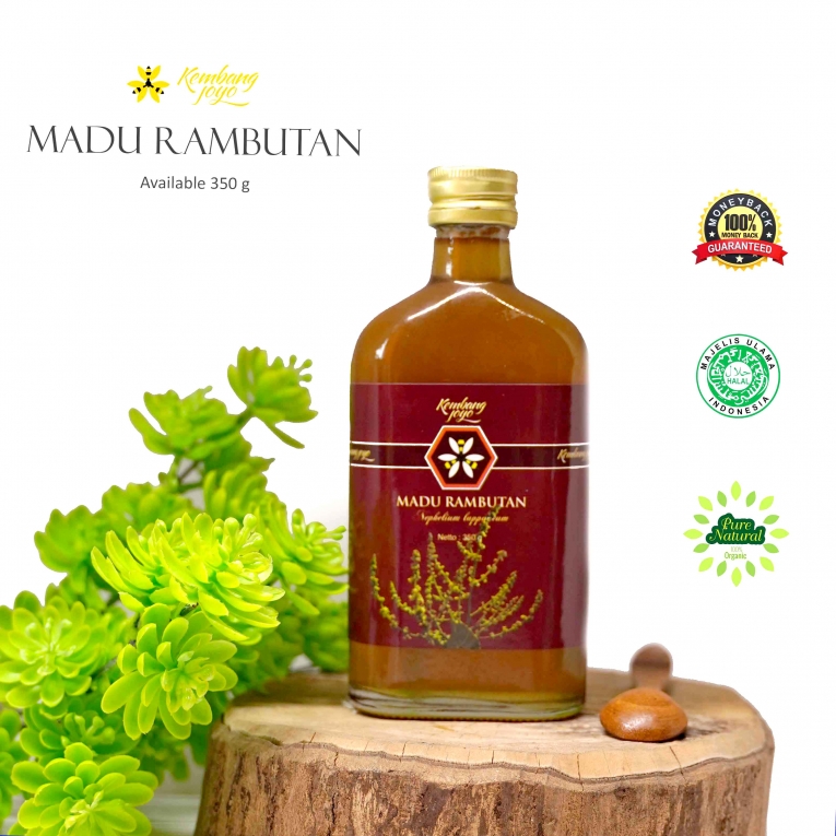 jenis madu asli lokal