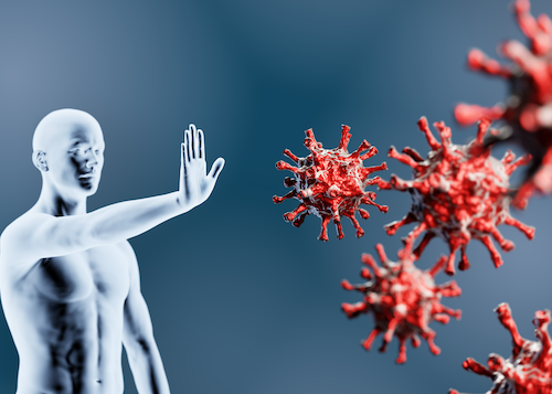 keistimewaan buah naga Inilah 12 Keistimewaan Buah Naga yang Penuh Zat Gizi