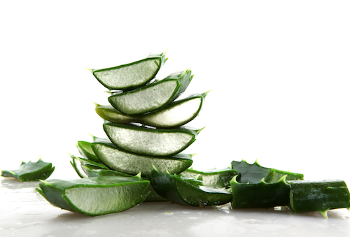 Pancarkan Pesona Dengan 9 Manfaat Lidah Buaya Untuk Kecantikan 2 manfaat lidah buaya untuk kecantikan Pancarkan Pesona Dengan 9 Manfaat Lidah Buaya Untuk Kecantikan