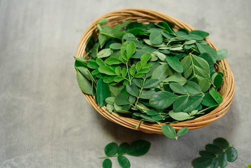 Kegunaan daun kelor