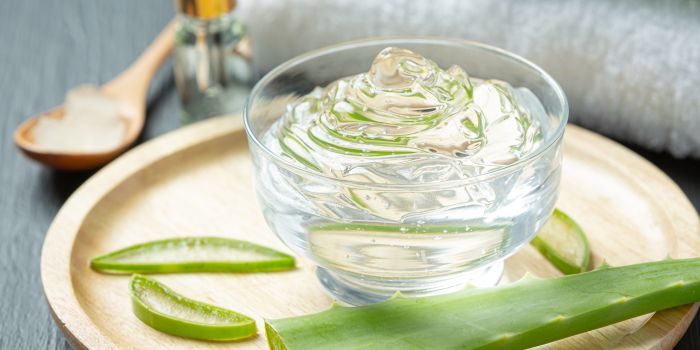 manfaat-lidah-buaya-untuk-kecantikan