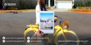 peluang-bisnis-rumahan-awal-tahun