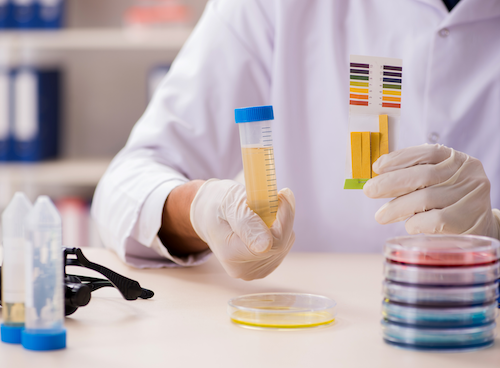 kebaikan susu kambing