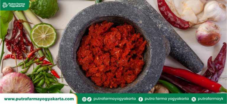 ragam-sambal-selera-nusantara