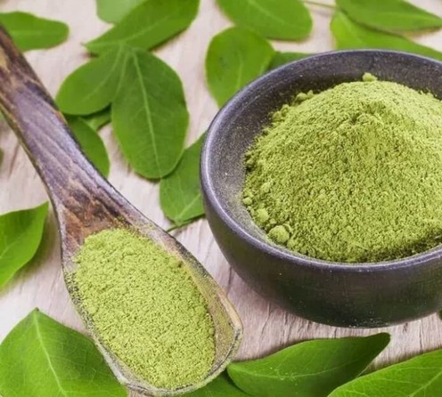kegunaan daun katuk