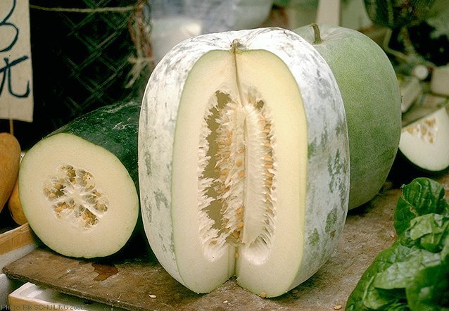 referensi buah untuk promil referensi buah untuk promil