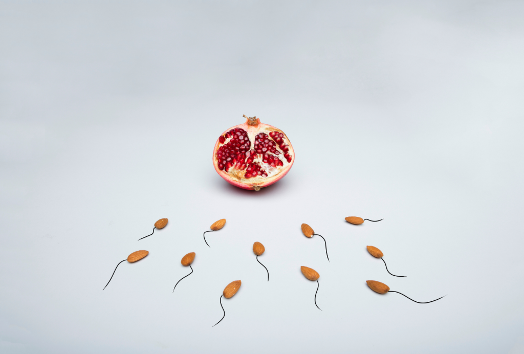manfaat ginseng untuk kejantanan