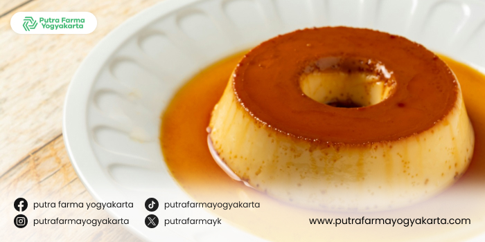 kreasi-olahan-puding-susu