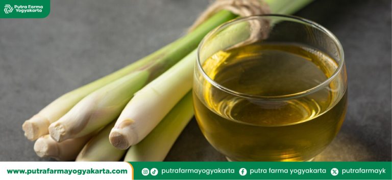 kreasi-unik-minuman-serai