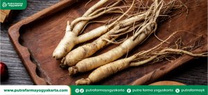 manfaat-ginseng-untuk-kejantanan