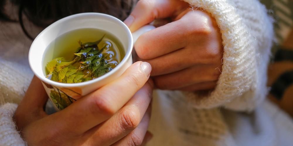 trik meminum teh hijau