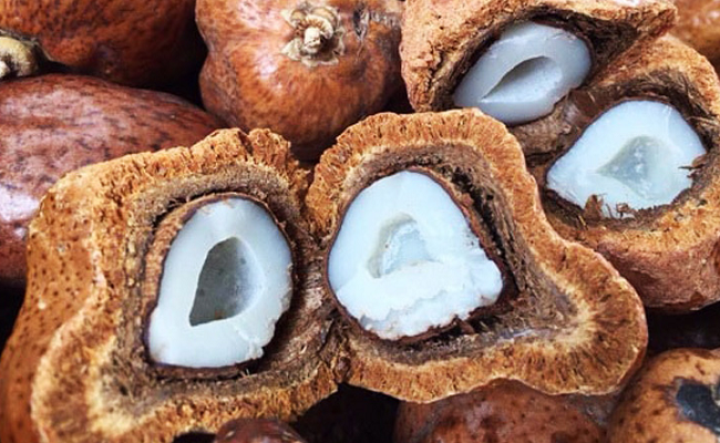 referensi buah untuk promil