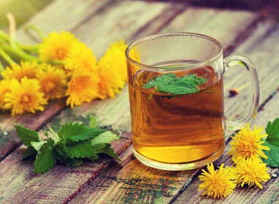 rekomendasi minuman penangkal radikal bebas