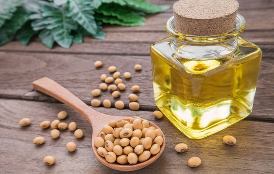 mengenal lebih dalam kolagen vegan