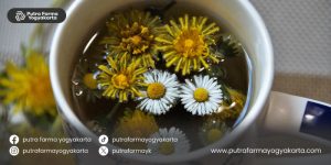 Rekomendasi-minuman-penangkal-radikal-bebas