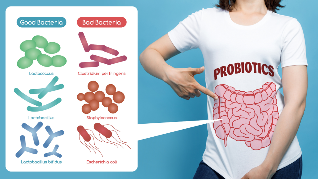 Mengenal zat probiotik