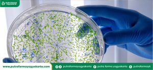 mengenal-bakteri-probiotik