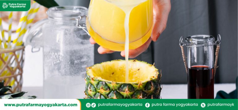 minuman-alami-pendorong-metabolisme