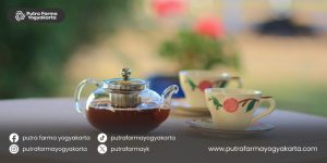racikan-jamu-awet-muda
