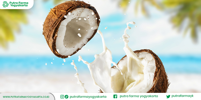 referensi-minuman-untuk-atasi-insomnia