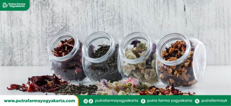 strategi-bisnis-jamu-kemasan-kekinian