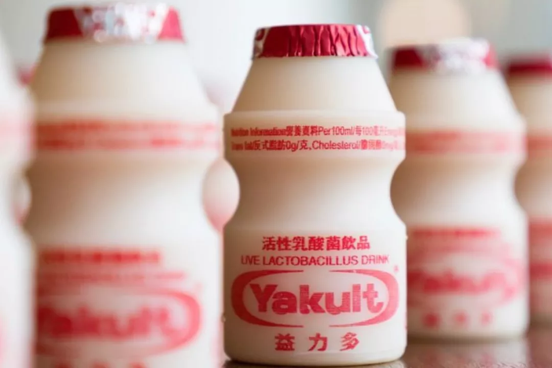 rekomendasi merek susu fermentasi