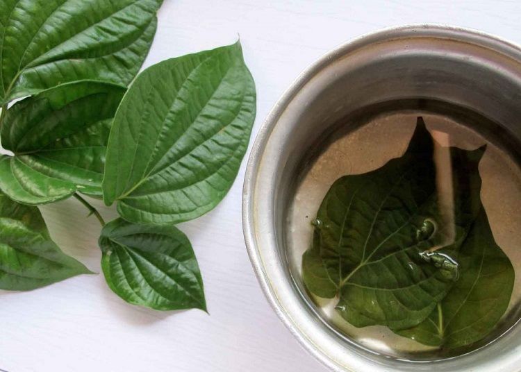 Ramuan herbal sehatkan kewanitaan