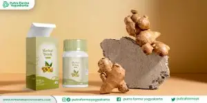 brand-wedang-bajigur-instan