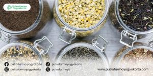 jenis-teh-untuk-atasi-insomnia