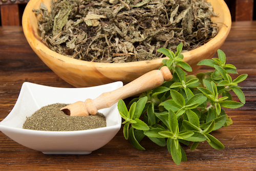 Mengenal pemanis Stevia