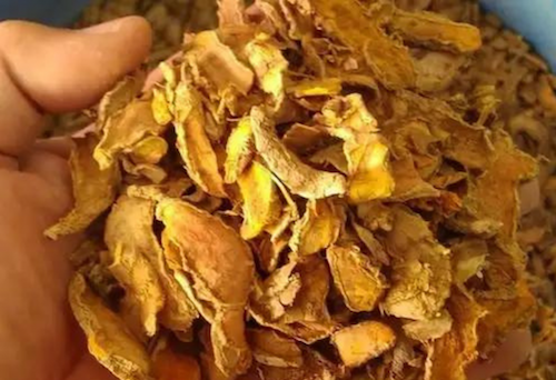 step membuat ekstrak kunyit