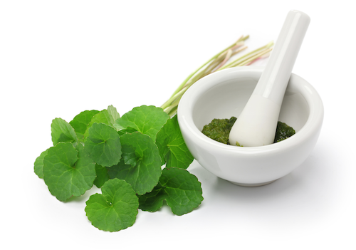 jamu penunjang nafsu makan jamu penunjang nafsu makan