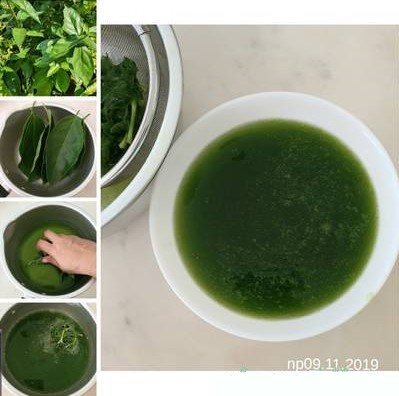 Trik membuat cincau hijau