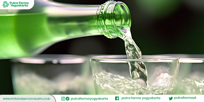 rekomendasi-soju-halal