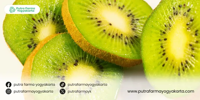 varian-buah-kaya-asam-folat