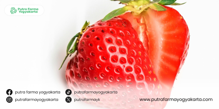 varian-jus-penurun-asam-urat