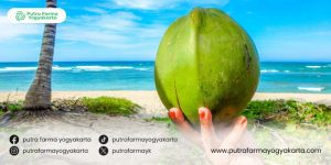 keajaiban-air-kelapa-untuk-puasa