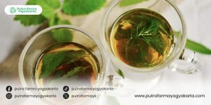 rekomendasi-teh-herbal-untuk-berbuka