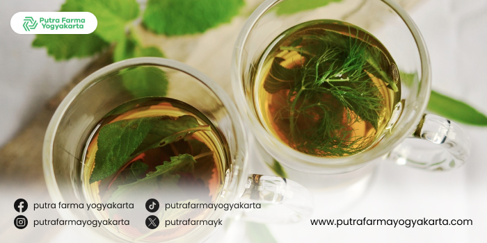 rekomendasi-teh-herbal-untuk-berbuka