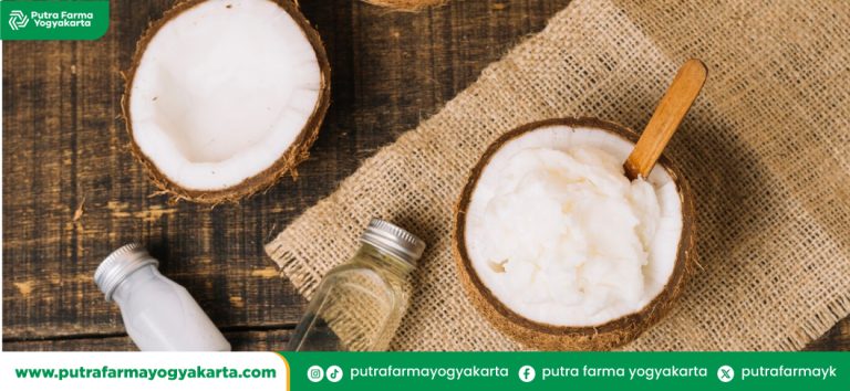 resep-kreasi-minuman-kuah-santan