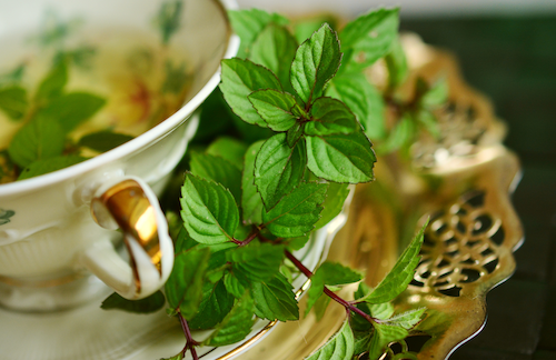 Minuman herbal pereda batuk flu