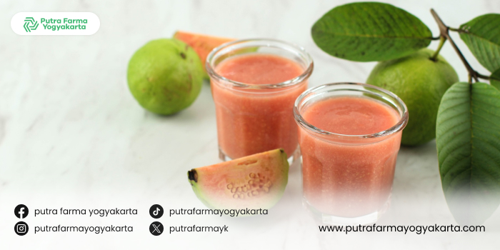 keajaiban-jus-jambu-biji