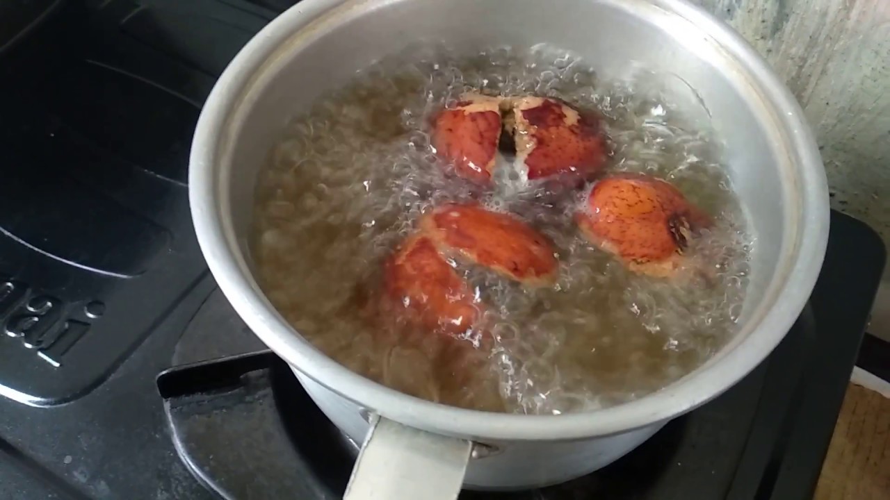 ragam kebaikan buah zuriat ragam kebaikan buah zuriat