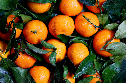 referensi buah pelancar sembelit referensi buah pelancar sembelit