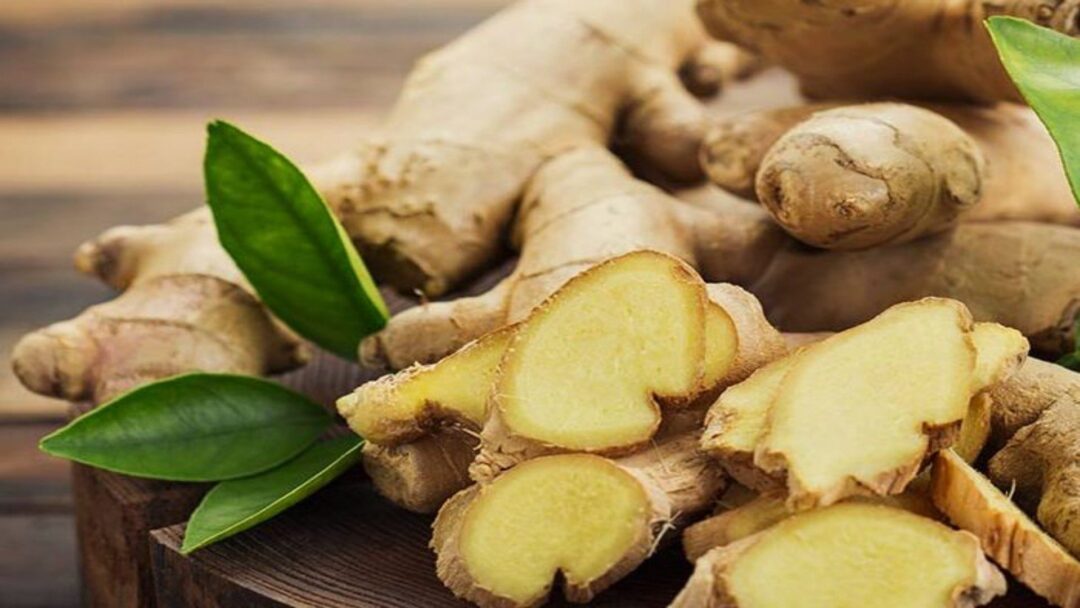 khasiat istimewa bir pletok 5 Khasiat Istimewa Bir Pletok, Si Bir yang Halal